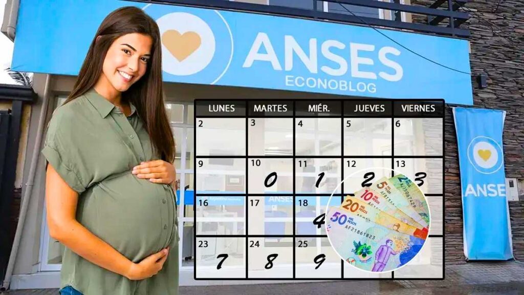 Asignación por embarazo en enero 2026 todo sobre fechas de cobro requisitos y cómo acceder al beneficio
