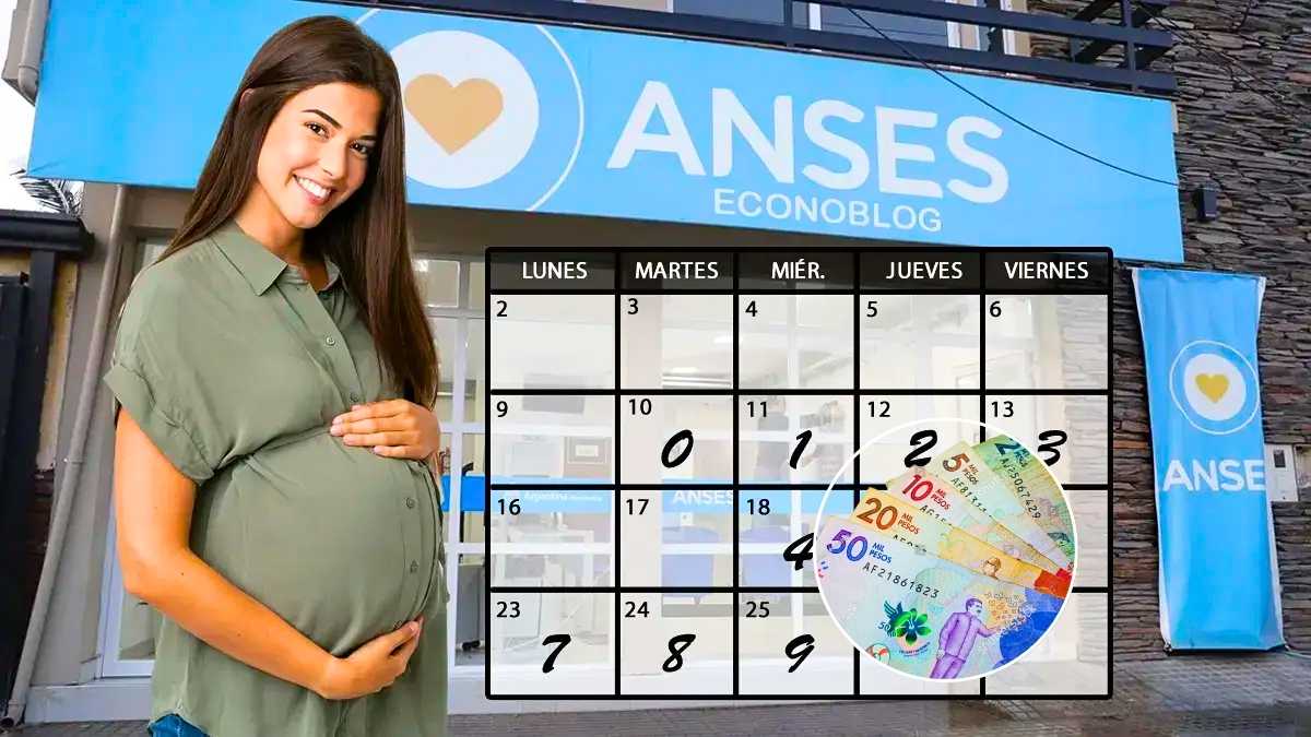 Asignación por embarazo en enero 2026 todo sobre fechas de cobro requisitos y cómo acceder al beneficio