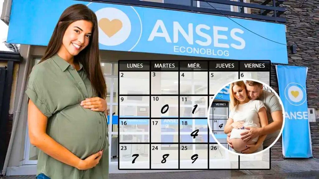 ANSES Econoblog 2026 Beneficiarios confirmados y cómo recibir pagos y bonos