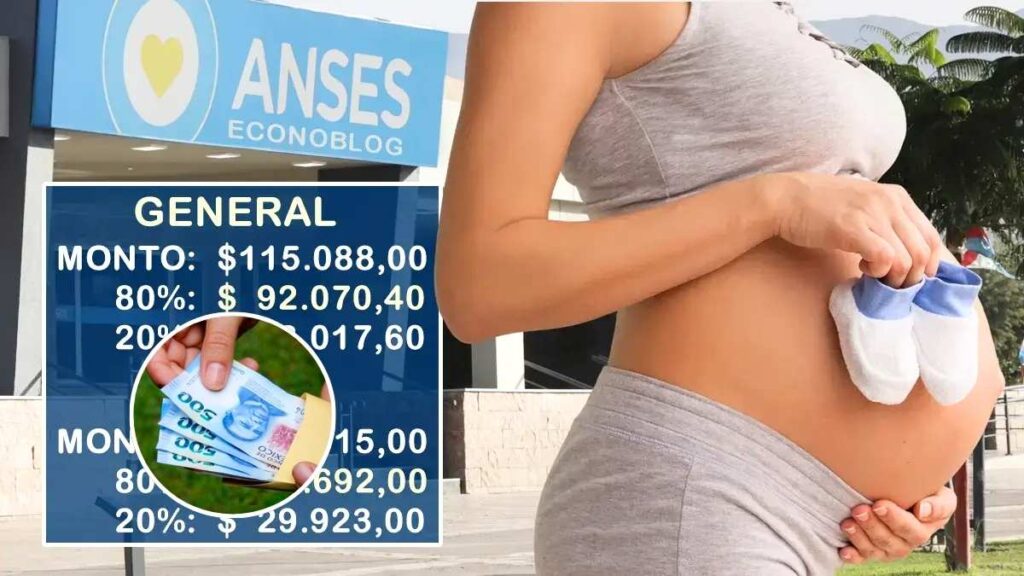 Asignación por Embarazo enero 2026 consulta cuándo cobrar el beneficio y cómo solicitarlo